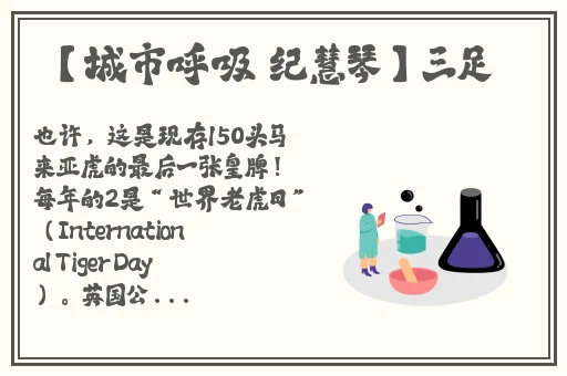 幼儿HIPHOP仙踪林推荐词