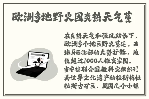 可以**神里绫华的软件